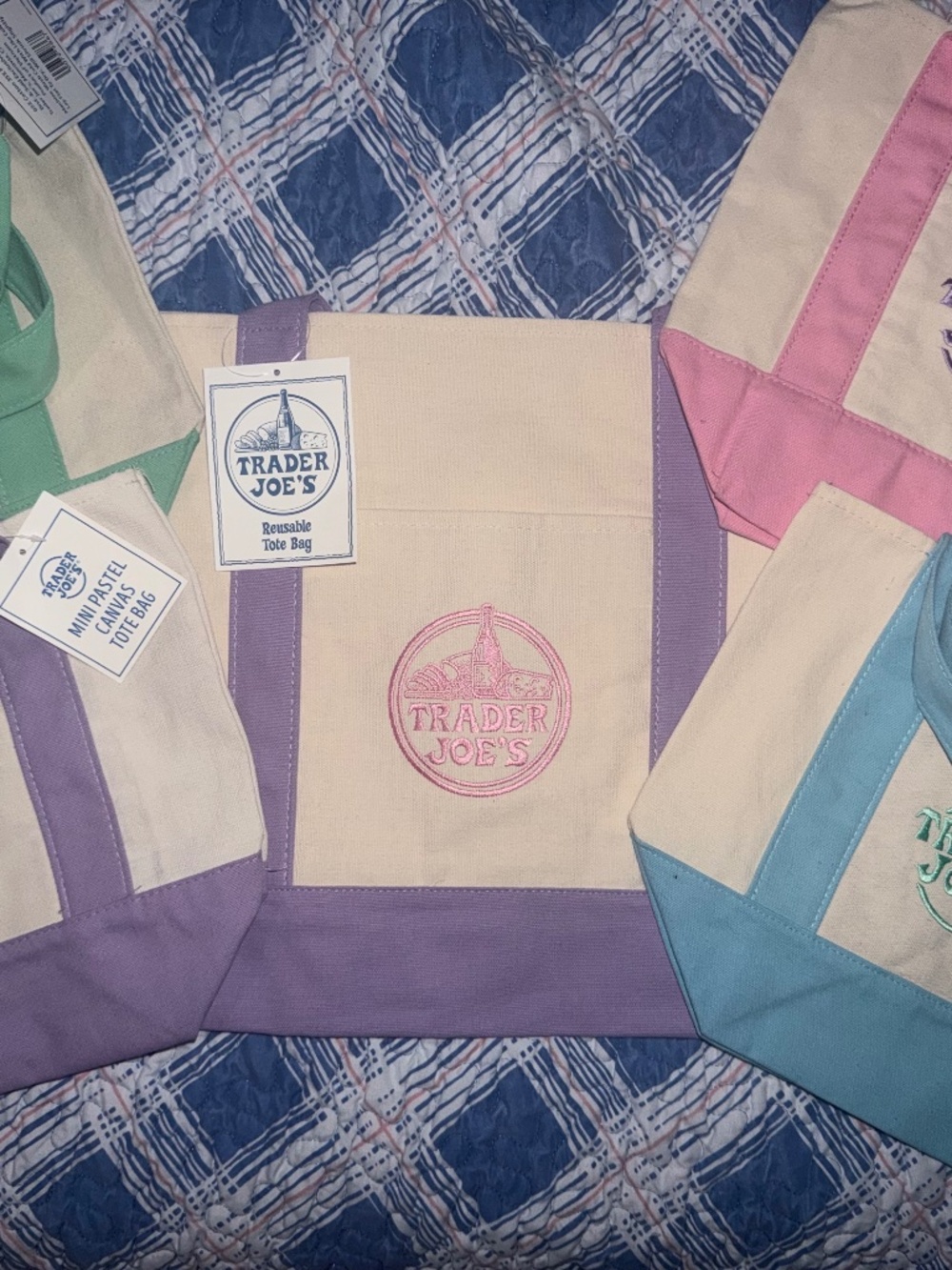 Trader Joe’s Pastel 1 Large & 4 Mini Canvas Totes